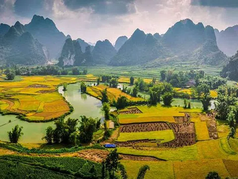 Chùm thơ Trần Phương Hồng Điểu