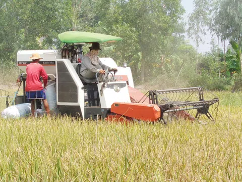Đồng Tháp triển khai Đề án “Sản xuất giảm phát thải lĩnh vực trồng trọt giai đoạn 2025-2035, tầm nhìn đến năm 2050”