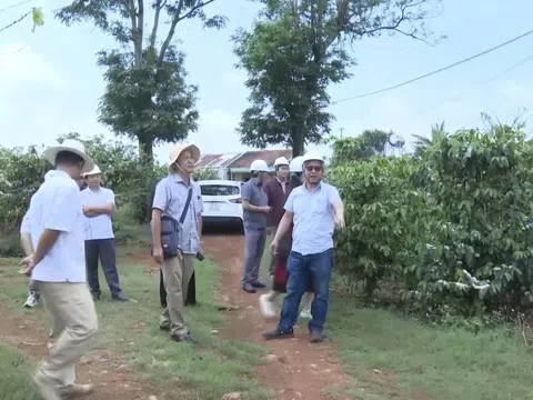 Gia Lai phát triển mô hình du lịch “Café Farm”, đón đầu Năm Du lịch Quốc gia 2026