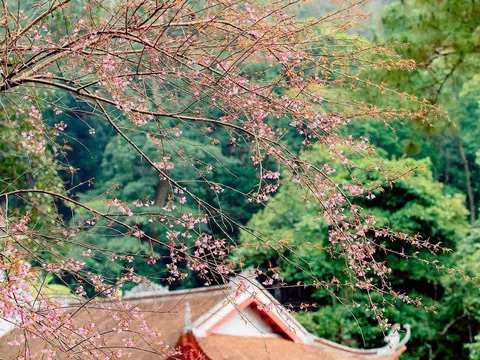 Phú Thọ: Sẵn sàng cho Lễ hội Tây Thiên - Tín ngưỡng thờ Mẫu 2026