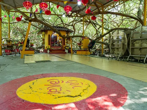 Cần Thơ: Khám phá Giàn Gừa trăm tuổi – Di tích xanh độc bản của miền Tây