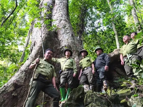 Tuyên Quang: Lâm Bình phát huy vai trò cộng đồng bảo vệ rừng