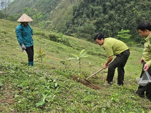 Tuyên Quang: Hạt Kiểm lâm Khu vực IV bảo vệ, phòng cháy chữa cháy rừng