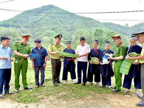 Tuyên Quang: Hạt Kiểm lâm Khu vực III bảo vệ và phát triển rừng