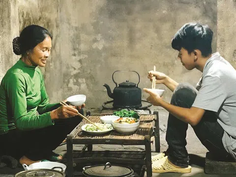 Chỉ có cơm mẹ nấu là miễn phí (tản văn)