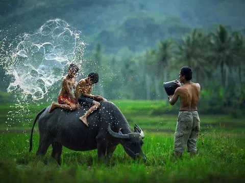 'Ký ức miền quê' (thơ)