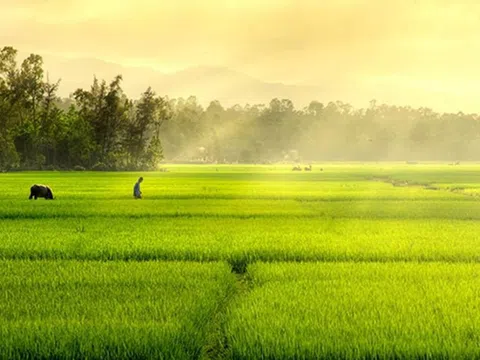 Chùm thơ “Nhân sinh tam vấn”