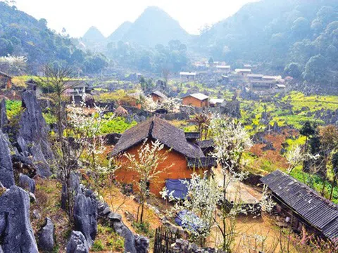 Hà Giang: Cao nguyên đá Đồng Văn được nhiều du khách lựa chọn trong dịp nghỉ lễ