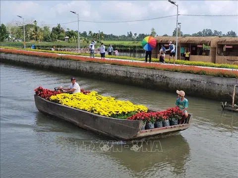 Cần Thơ: 'Phố ông Lang' - Điểm du lịch sinh thái độc đáo, miễn phí