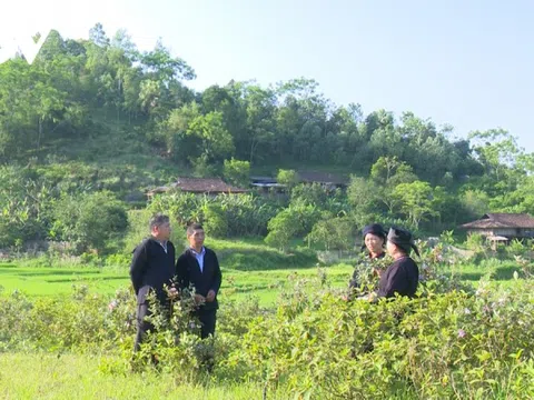 Bắc Kạn: Xuân về nghe hát Sli