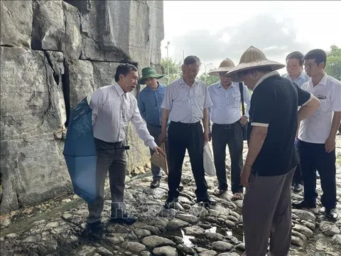 Thanh Hóa: Kết quả sơ bộ khai quật đường Hoàng Gia nội thành di sản Thành nhà Hồ