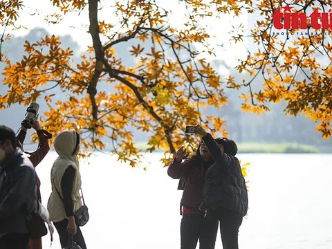 Ngày 14/1: Bắc Bộ và Bắc Trung Bộ rét về đêm, Nam Bộ ngày nắng, biển động