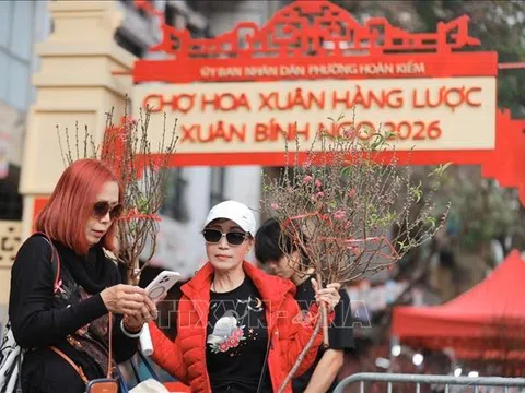 Hà Nội: Chợ hoa Xuân phố cổ 2026 thu hút hơn 30.000 lượt khách mua sắm