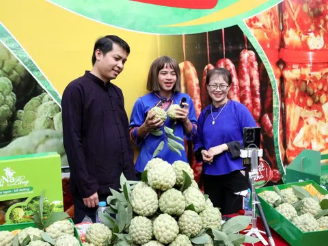 Ứng dụng công nghệ số 'cõng sinh kế' tới vùng cao