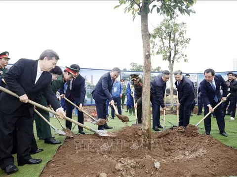 Tổng Bí thư Tô Lâm dự Lễ phát động 'Tết trồng cây đời đời nhớ ơn Bác Hồ' tại Hà Nội