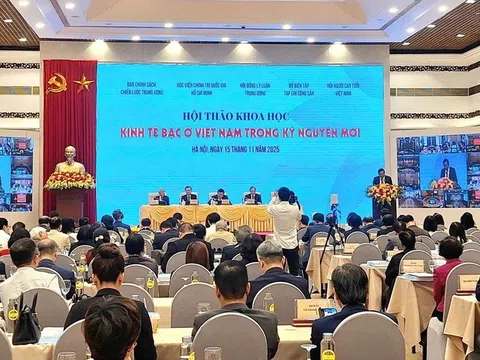 KINH TẾ BẠC – Từ thách thức nhân khẩu học đến cơ hội phát triển