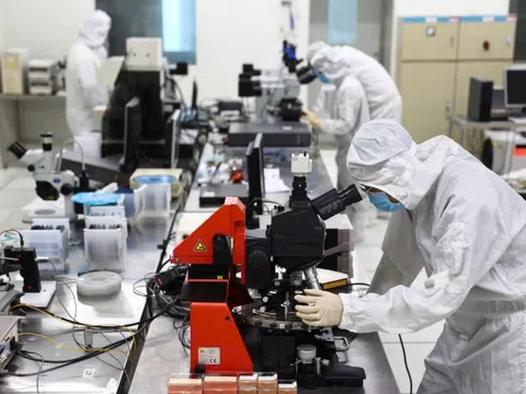 Chuyển từ mô hình quản lý hành chính sang "quản trị kiến tạo" dựa trên hiệu quả đầu ra