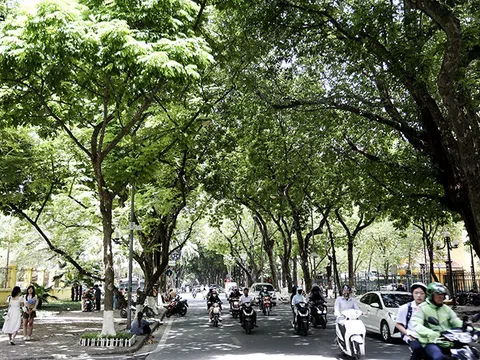 Ngày 15/4: Không khí lạnh yếu gây mưa dông Bắc Bộ, Trung Bộ tiếp tục nắng nóng gay gắt