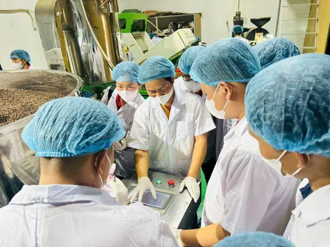 Đắk Lắk: Khóa học miễn phí kết nối cộng đồng cà phê Việt