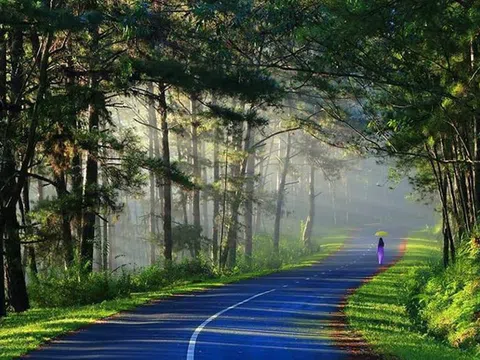 Con đường xưa em đi