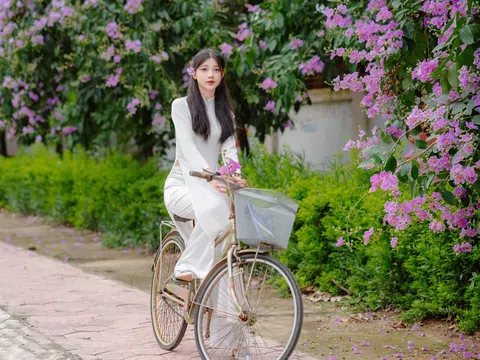 Biêng biếc bằng lăng