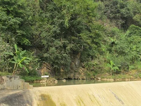 Độc đáo suối cá thần Văn Nho