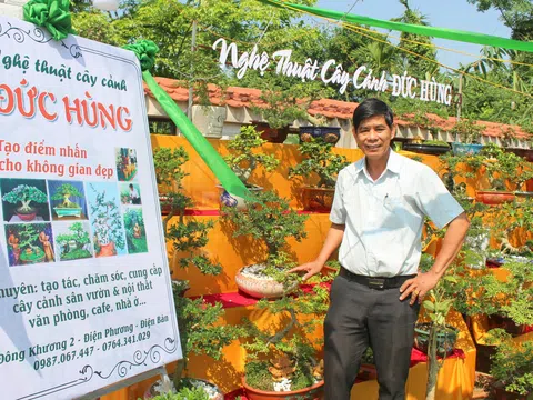 Nghệ nhân Lê Đức Hùng - Người thổi hồn vào cây cảnh xứ Quảng