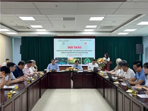 Nhiều doanh nghiệp chưa thấy rõ lợi ích kinh tế từ việc tham gia thị trường carbon