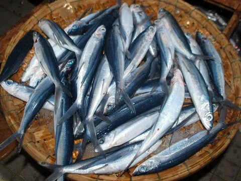 Mỳ Quảng cá chuồn - Món ngon dân dã đậm hồn xứ Quảng