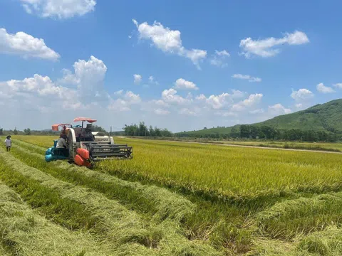 Hợp tác xã Tấn Hưng - Điểm sáng của nông nghiệp xanh ở Đắk Lắk