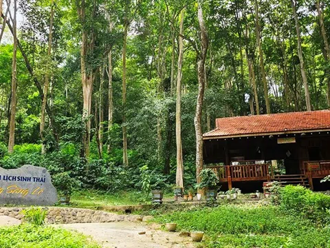 Khám phá hệ sinh thái phong phú tại Khu Dự trữ sinh quyển miền Tây Nghệ An