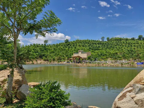 Hiệp hội Du lịch Nha Trang - Khánh Hòa trao chứng nhận hội viên cho Công ty Sản Việt