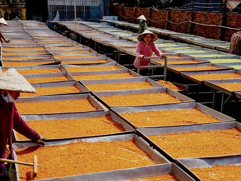 Muối ớt Tây Ninh - Từ món ăn dân dã đến di sản văn hóa quốc gia