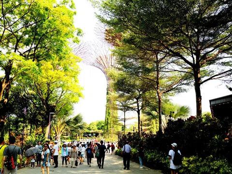 Singapore - Thành phố trong rừng và triết lý “Không bứt một chiếc lá”