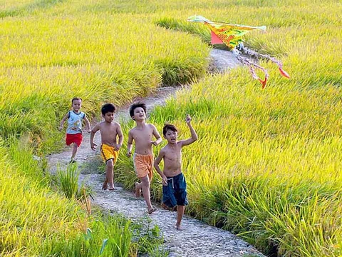 Về với quê hương - tìm lại bình yên nơi gốc rễ