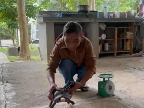 Vườn quốc gia Pù Mát tiếp nhận động vật hoang dã do người dân tự nguyện bàn giao