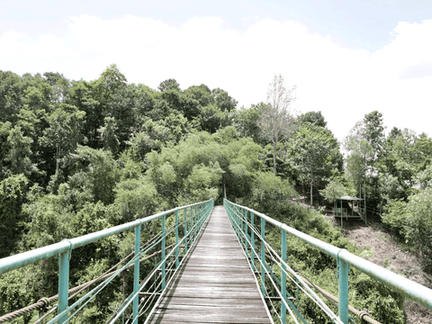 Khám phá cầu treo giữa rừng xanh - điểm nhấn độc đáo tại Làng Chữa Lành Kaho