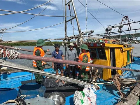 Nghệ An cấm tàu thuyền và phương tiện vận tải ra khơi từ 05 giờ ngày 24/8