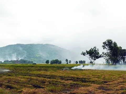 Nhớ sao mùi khói đốt đồng