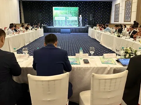 Kết nối doanh nghiệp Việt - Nhật, hướng đến chuẩn mực xanh