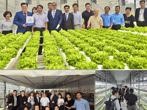 Doanh nghiệp Hàn Quốc đồng hành cùng Việt Nam thúc đẩy chuyển đổi kép