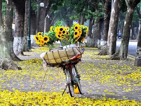 Mùa thu Hà Nội - Bản giao hưởng của ký ức và hiện tại