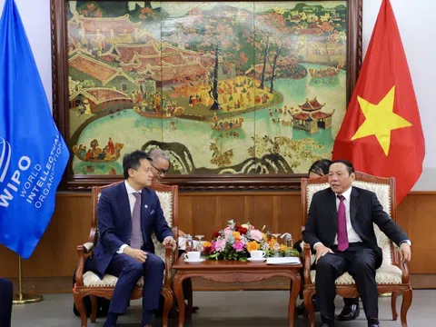 WIPO sẵn sàng hỗ trợ thúc đẩy sáng tạo và sở hữu trí tuệ cho Việt Nam