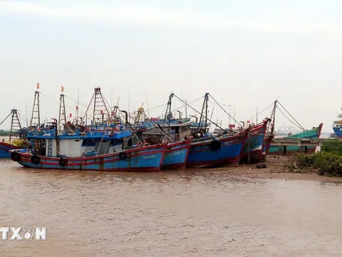 Nghệ An: Cấm tàu thuyền ra khơi từ 5 giờ sáng 27/9 để ứng phó bão Bualoi