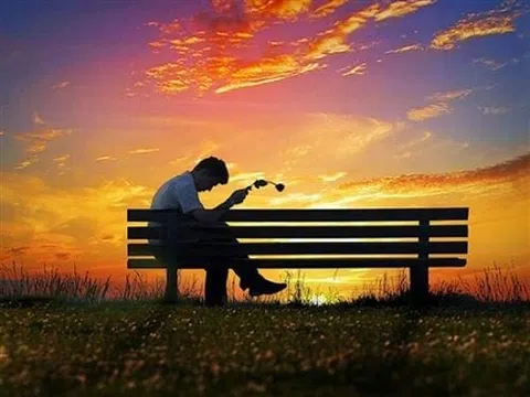 Tình yêu để lại vết thương ngọt ngào