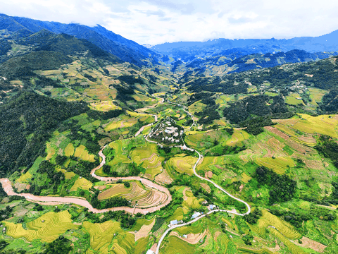 Tà Chì Nhù: Hơi thở núi rừng và sắc hoa chi pâu