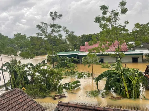 Nghệ An kêu gọi ủng hộ đồng bào bị thiệt hại do bão số 10