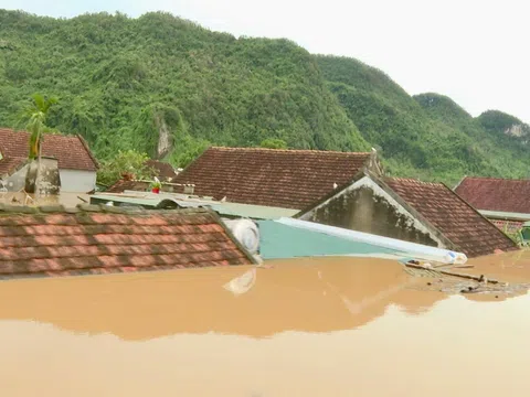 Tôi thương đồng bào tôi