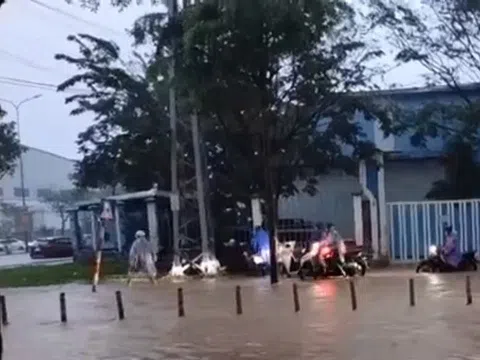 Đà Nẵng: Chủ động ứng phó với thiên tai