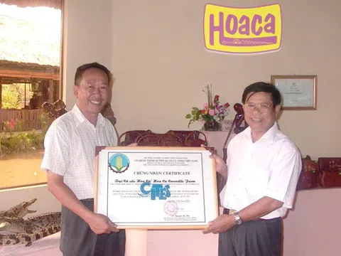 Cá Sấu Hoa Cà – Khi văn hóa phát triển bắt nguồn từ lòng nhân ái và sáng tạo